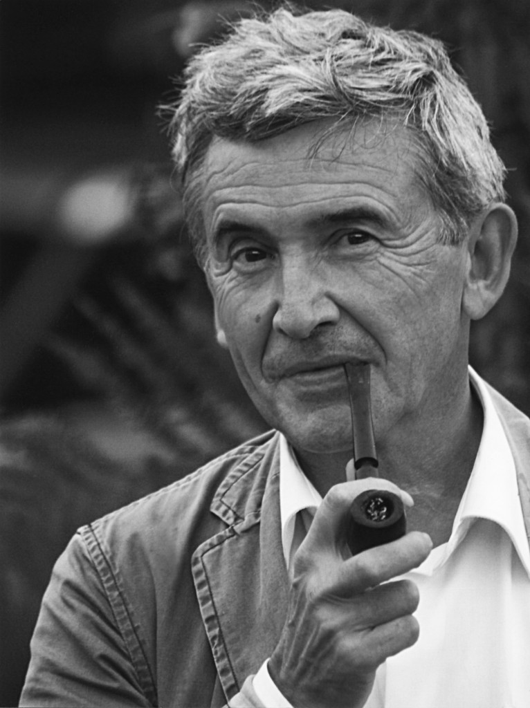 Dominique MEYNIEL