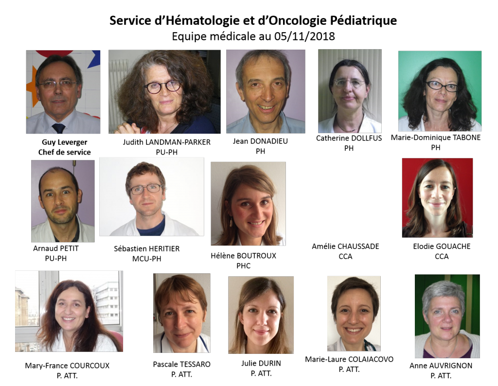 Equipe hematologie et Oncologie pediatrique  service Pr Leverger
