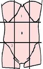 quadrants de l'abdomen
